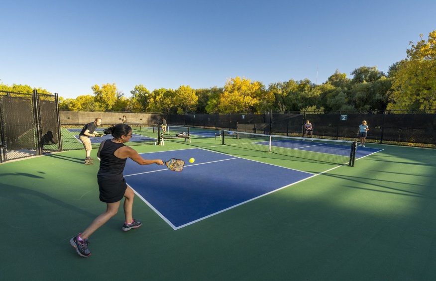 Pickleball Court